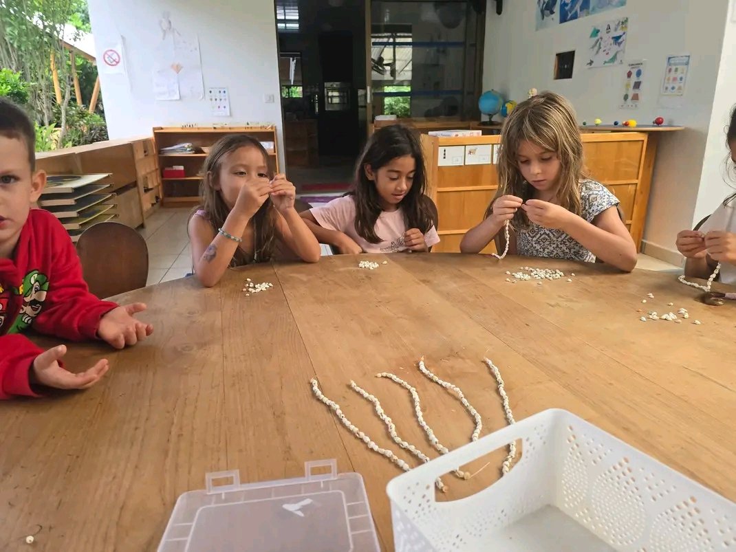 TK Kids — Transmission culturelle