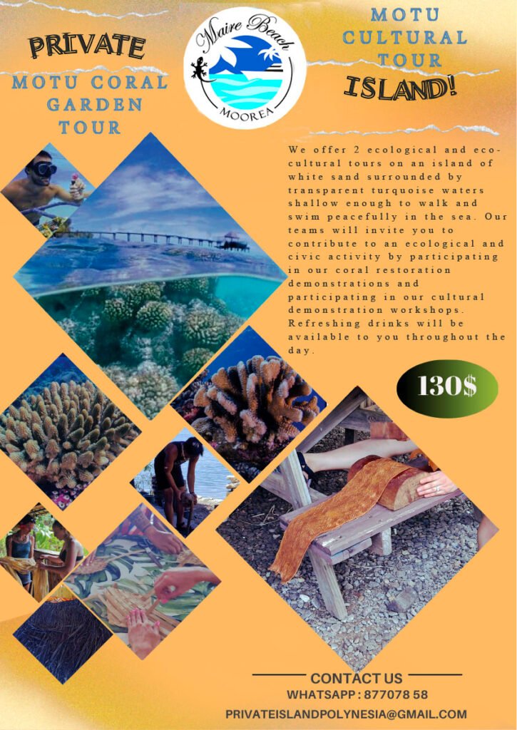 mmb tour coral garden cultural tour